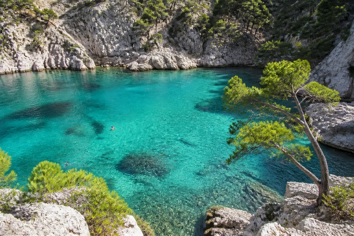 Calanque aux eaux turquoise bordée de pins et de rochers blancs sur la Côte Bleue